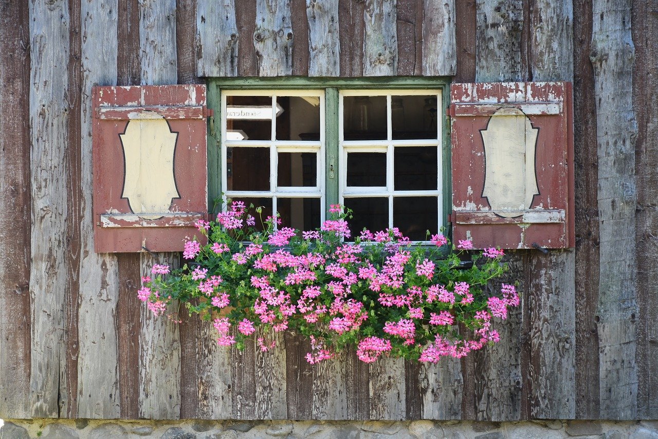 ゼラニウムの鉢植え栽培にチャレンジ おぼえておきたい10のコツ Gardeniwa